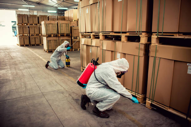 Best Termite Control Services  in Mount Plymouth, FL