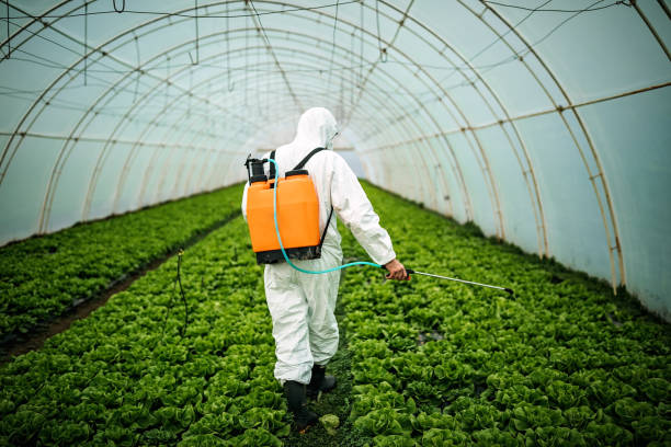 Best Best Pest Control Companies  in Mount Plymouth, FL
