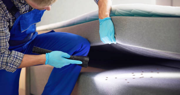 Best Termite Control Services  in Mount Plymouth, FL