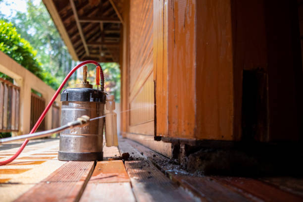 Best Affordable Pest Control Services  in Mount Plymouth, FL