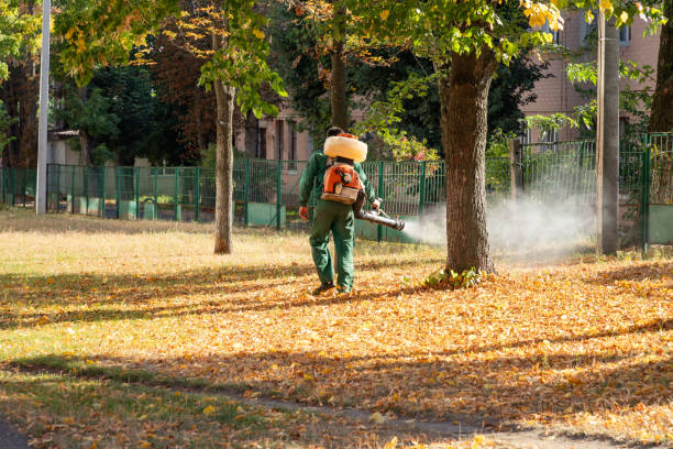Best Affordable Pest Control Services  in Mount Plymouth, FL