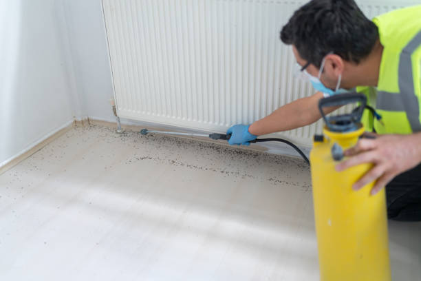 Best Pest Inspection Near Me  in Mount Plymouth, FL